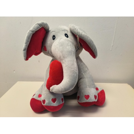 Teddy – X Large Roodepoort